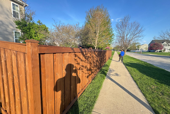 Fence Staining